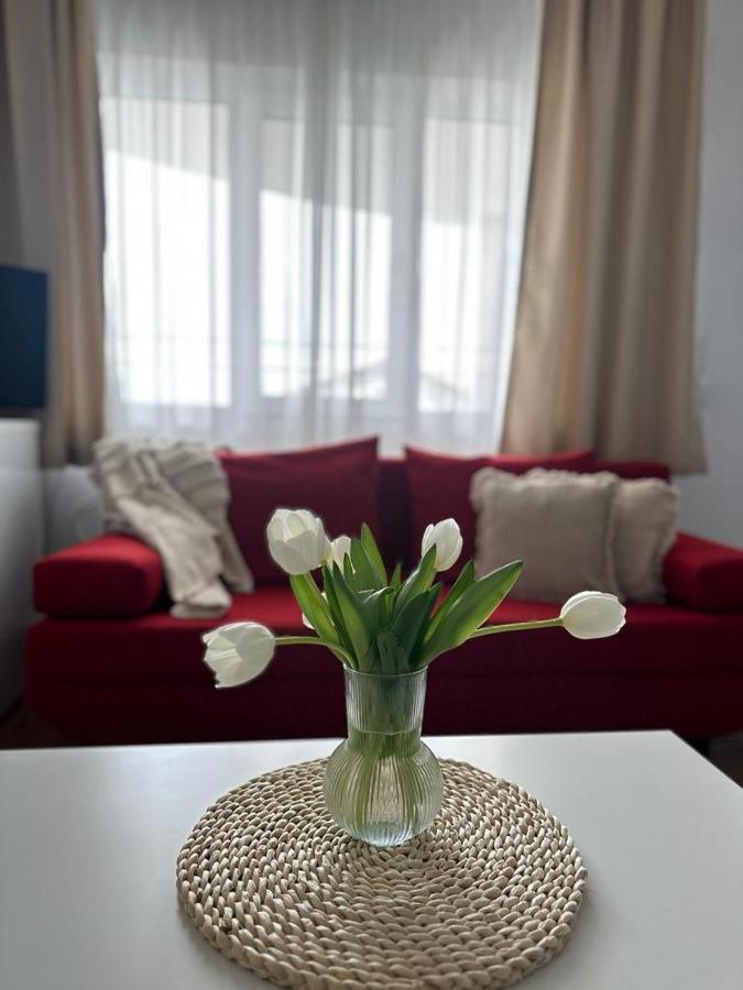 Vila Primavera Vama Veche Exterior photo